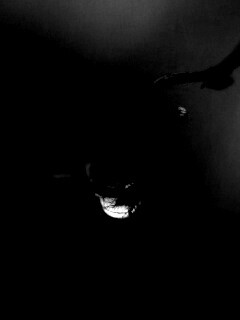 Одинокая капля обои