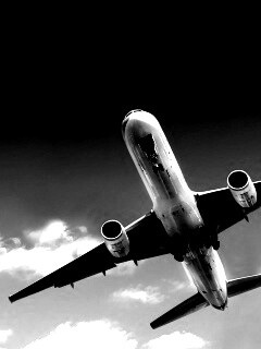 Лайнер обои