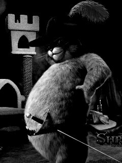 Кот в сапогах из Шрека обои