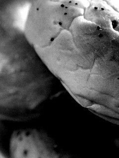 Булочки с маком обои