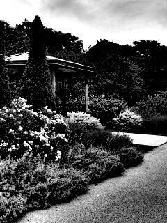 Ландшафтный дизайн обои