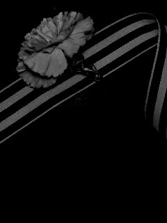 К 9 мая обои