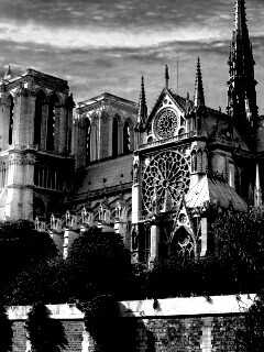 Собор парижской Богоматери обои