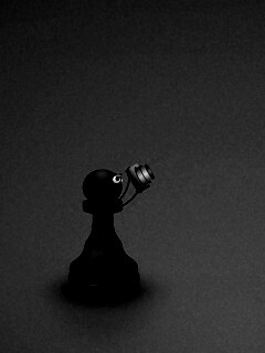 Пешка фотографирует короля обои