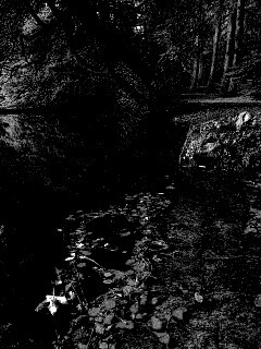 Пейзаж обои