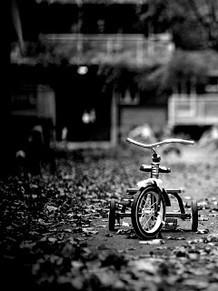 Трёхколёсный друг на осенней дорожке обои