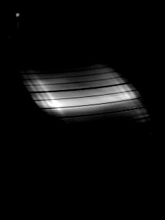 Пластинка обои