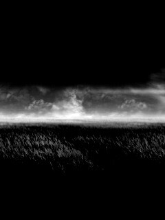 Луг на другой планете обои