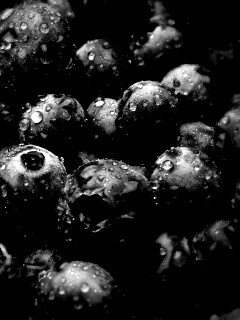 Свежая черника обои