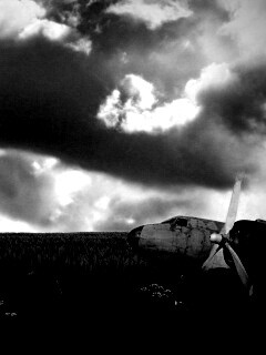 Старый ржавый самолет на лугу обои