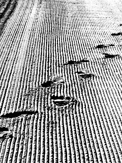 Следы на песке обои