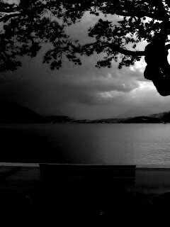 Скамейка на берегу обои