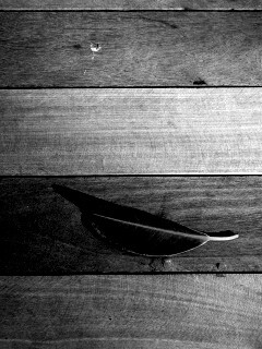 Лист на деревянном полу обои