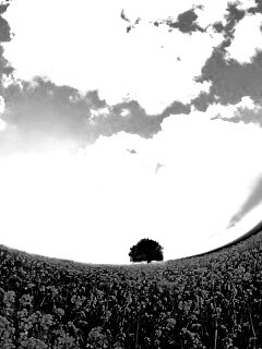 Искаженный мир обои