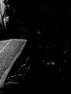 Волшебный мир на страницах книги обои