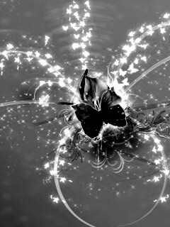 Волшебная бабочка обои