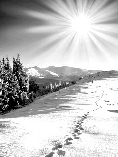 Холодные лучи зимнего солнца обои