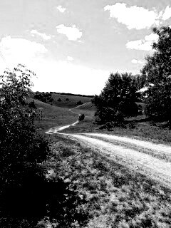 Просёлочная дорога обои