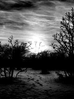 Закат в зимнем лесу обои