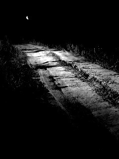 Ночная дорога обои