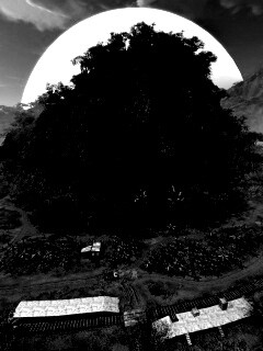 Железная дорога в тропиках из Crysis обои