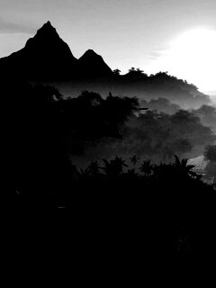 Вертолет над тропиками в crysis обои