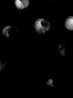 Карандаши обои