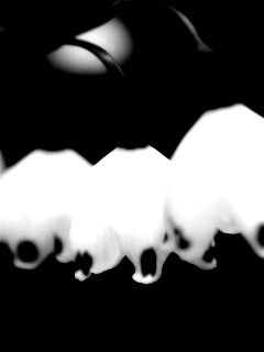 Белые ландыши обои