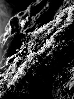 Мшистый камень обои