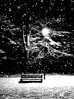 Ночь..улица..фонарь..скамейка.. обои