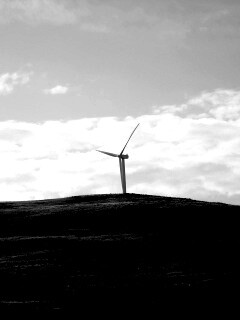 Ветряки в поле обои