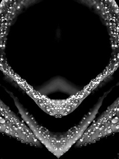 Цветочный зев обои