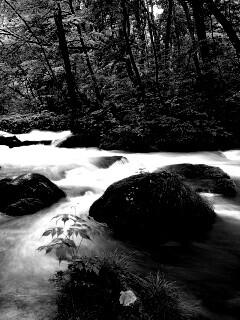 Лесная река обои