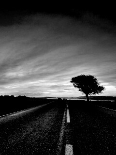 Дорога обои