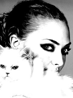 Девушка с кошкой обои