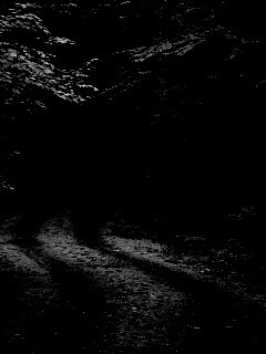 Лесная дорога обои