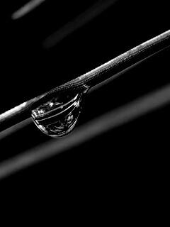 Капелька воды на стебле обои