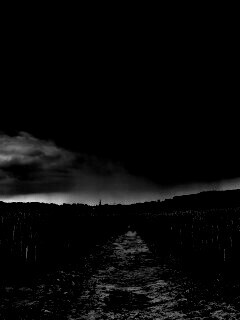 Поле ночью обои