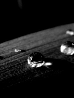 Капли росы на листе обои