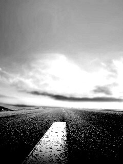 Дорога обои