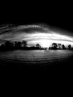 Поле широкоугольным объективом обои