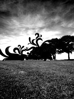 На равнине обои