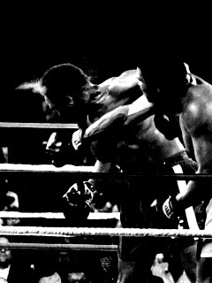 Чемпион по боксу Мохаммед Али обои