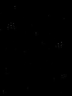 Векторные листья с ягодами обои