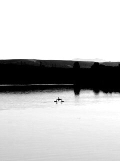 Утиное озеро обои