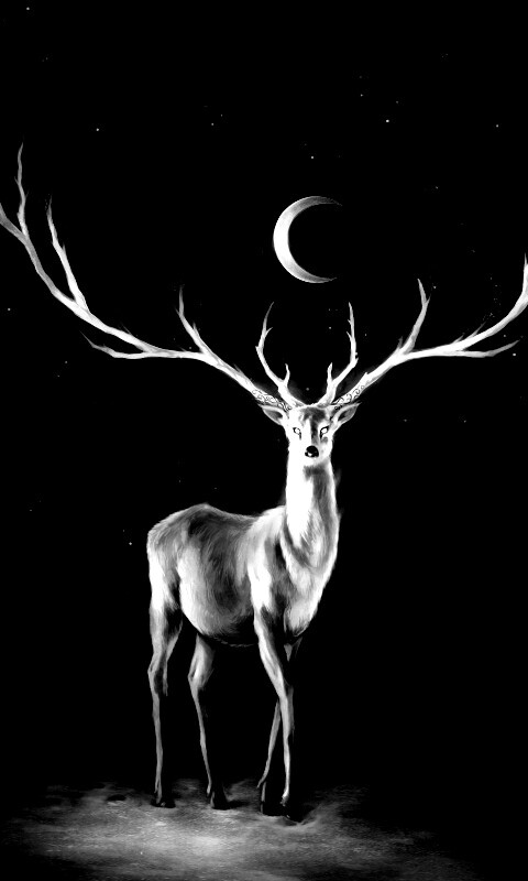 Олень в лунном свете обои