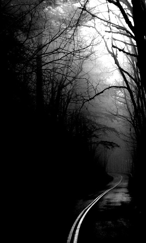 В туман обои