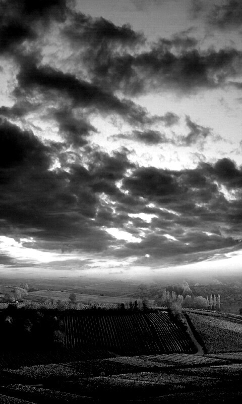 Обработанные земли в пригороде обои