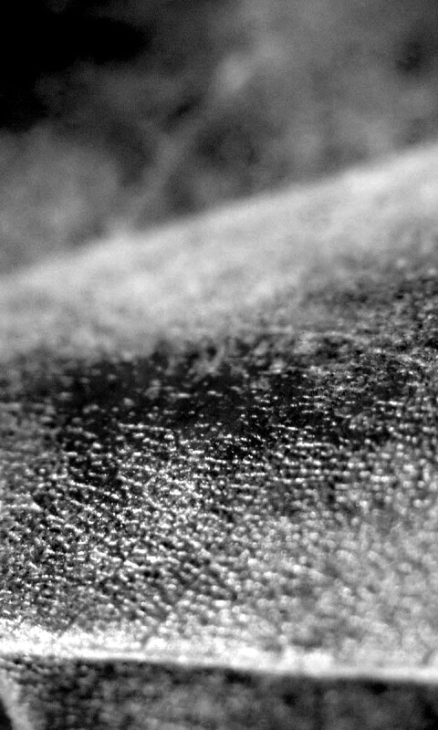 Повехность листа обои