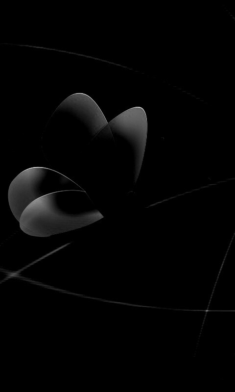 Бабочка с радужными крыльями обои